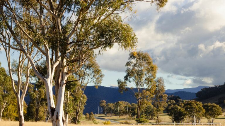 Fixed vs Variable Home Loan in Australia: The Choice Most Borrowers Get Wrong