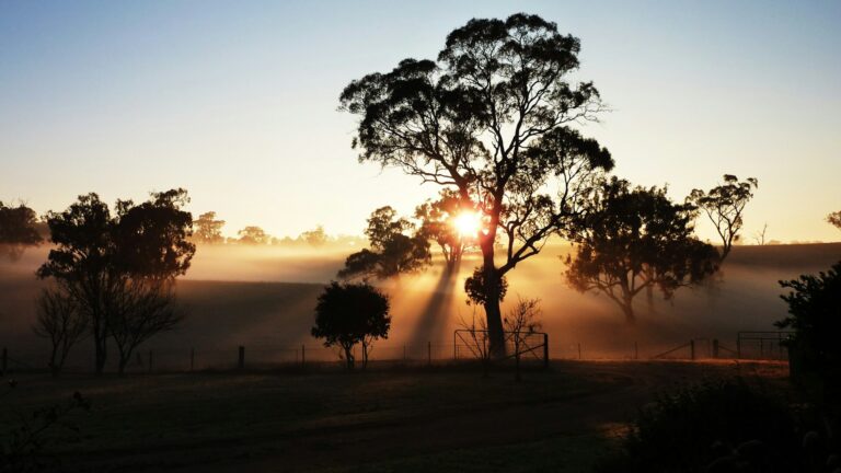 How to Build Wealth in Australia: 15 Big Ideas