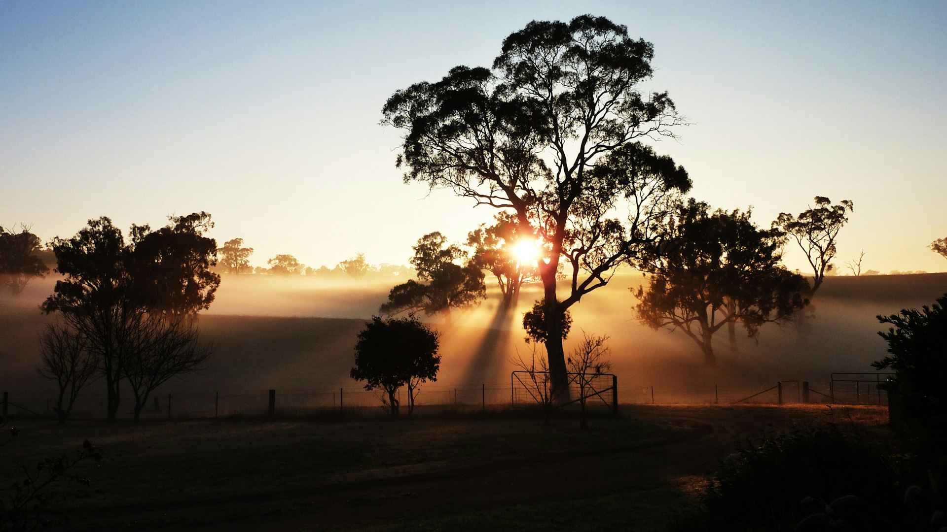 How to Build Wealth in Australia: 15 Big Ideas