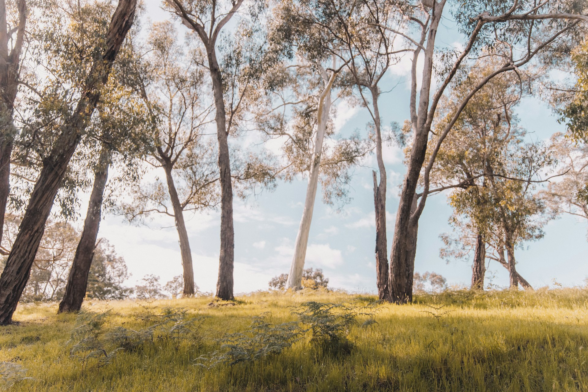 5 Topics from Our Client Meetings: A Cross-Pillar Brief for Australian Wealth Builders