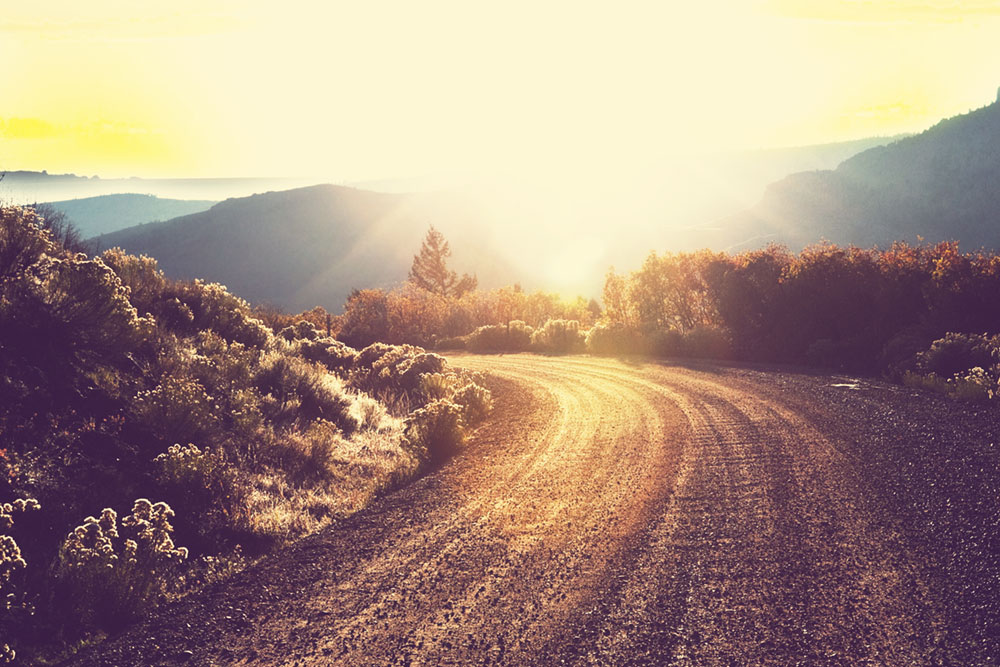 SMSF – Neglecting your Obligations has Serious Consequences