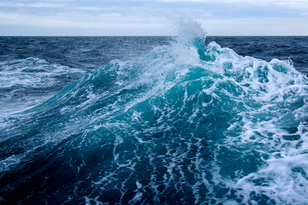 These Are Volatile Times, I’m Not Sure What to Do!