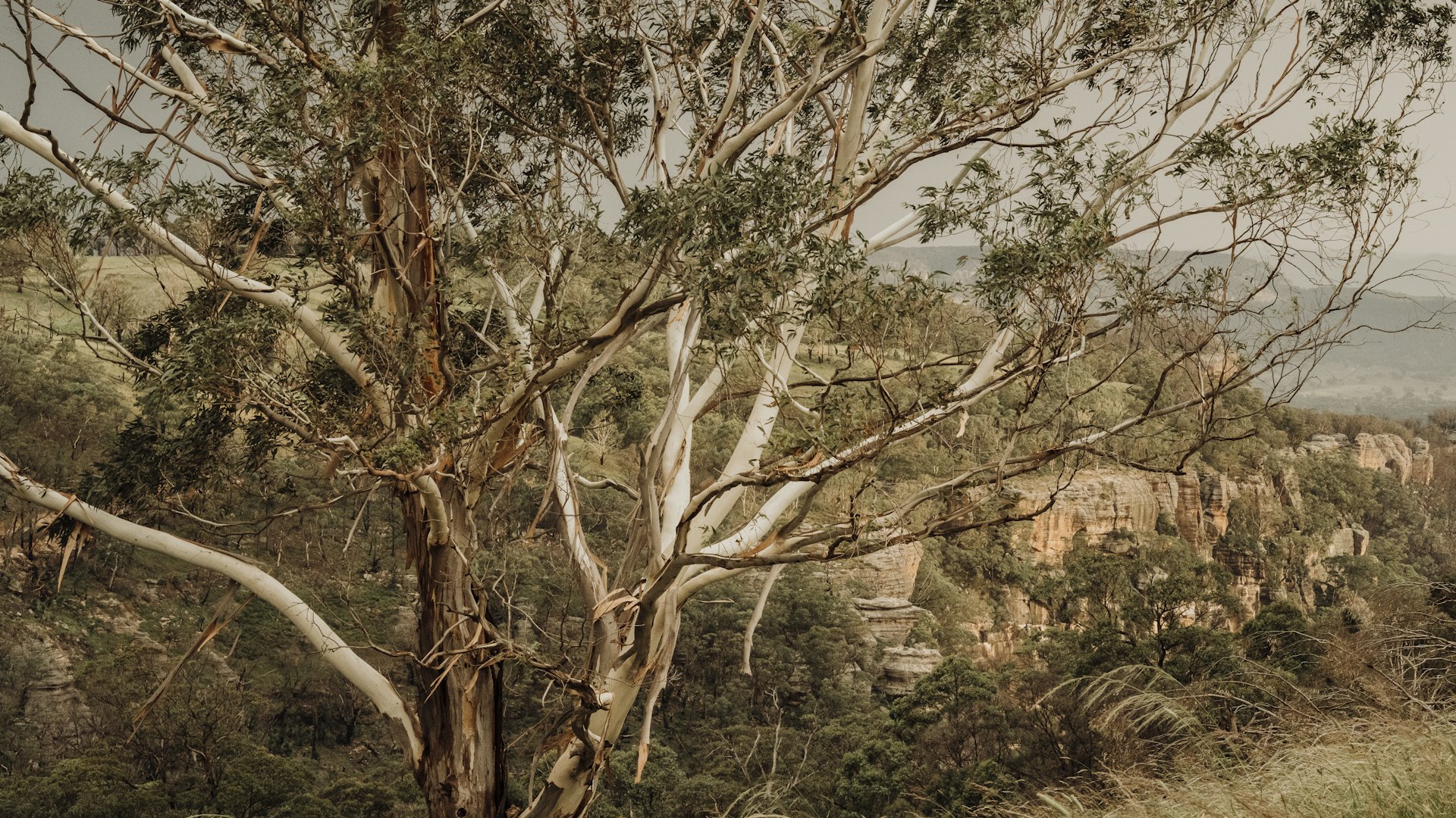 Portfolio Diversification in Australia: What It Is, and How to Actually Do It