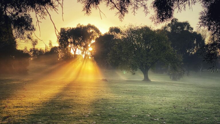 How to Find a Good Financial Planner in Australia: The Five-Step Filter