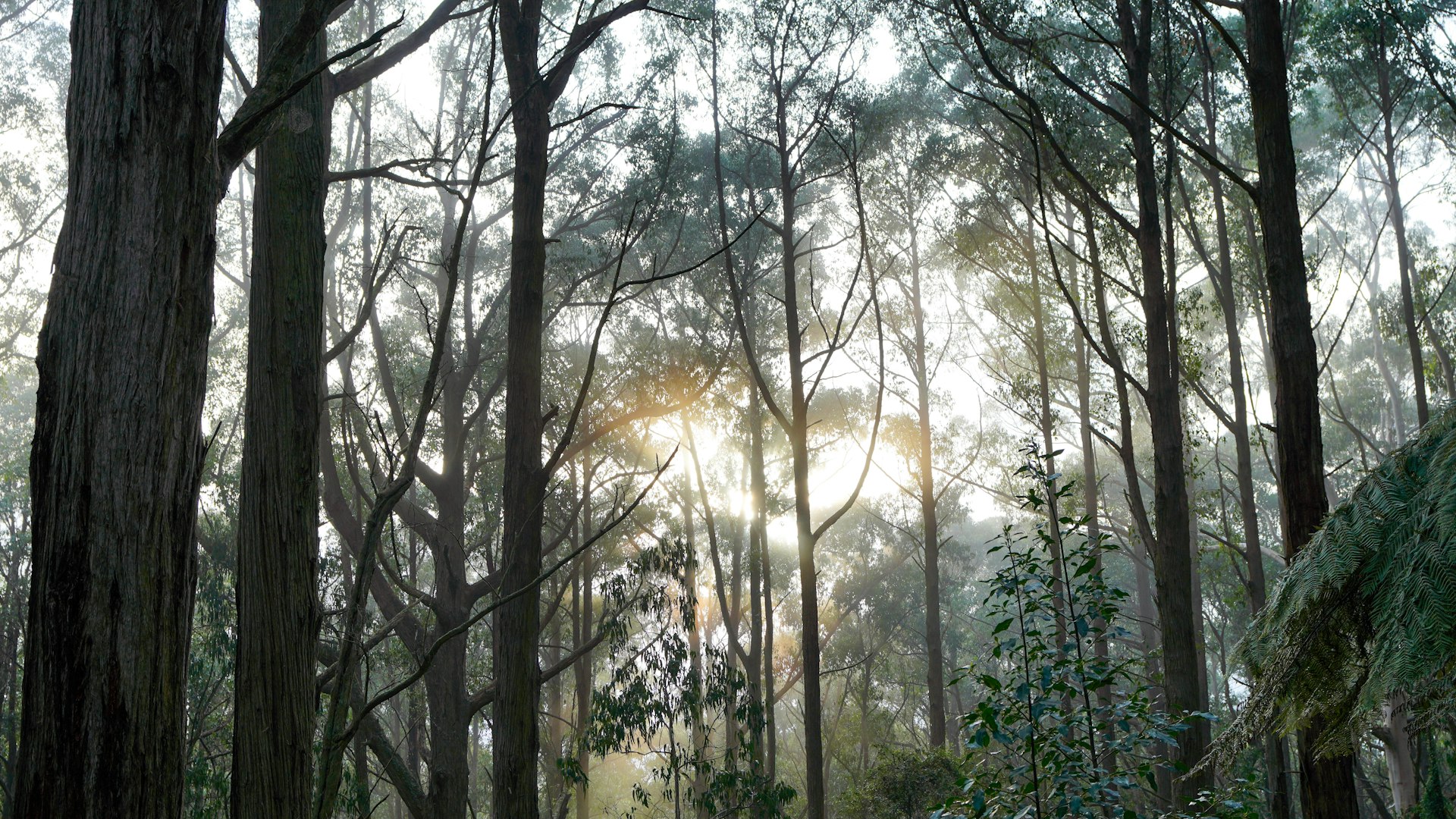 Property Flipping Tax in Australia: The ATO Lens (and the 2027 Reform)