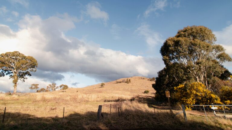 Comprehensive Credit Reporting in Australia: What Lenders Actually See