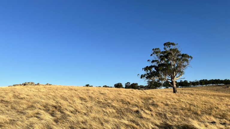 Renovation Loans in Australia: How They Work and Which Path Fits You