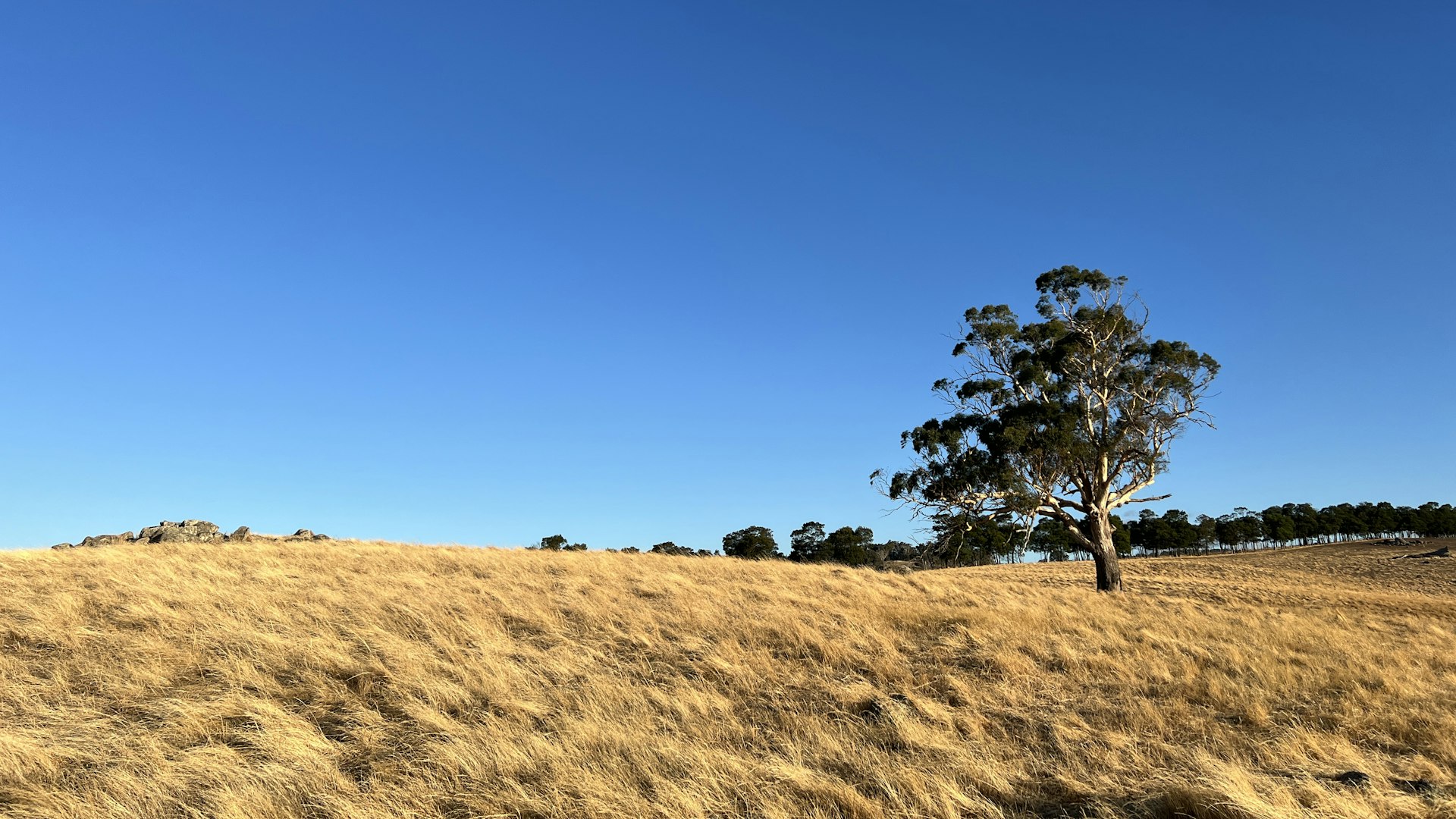 Renovation Loans in Australia: How They Work and Which Path Fits You