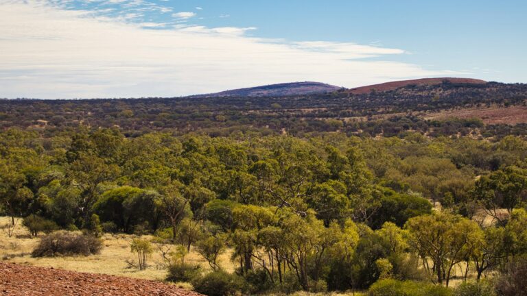 Personal Debt Management in Australia: A System That Actually Works
