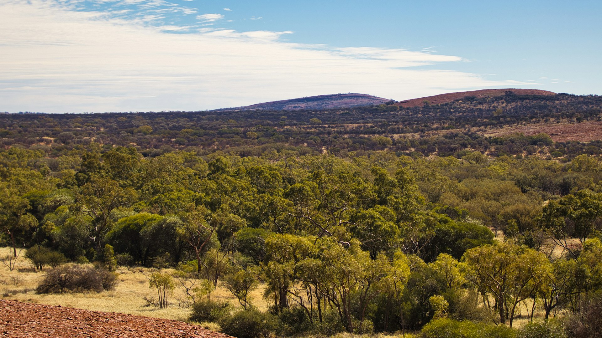 Personal Debt Management in Australia: A System That Actually Works