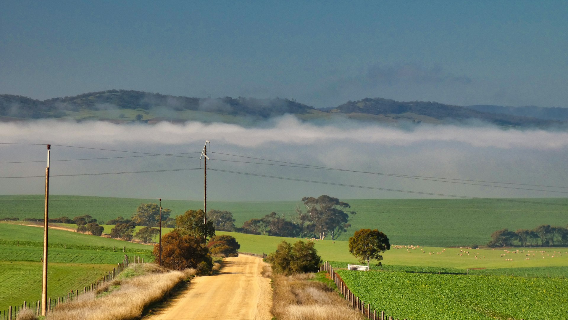 Index Investing in Australia: A Clear-Eyed Guide