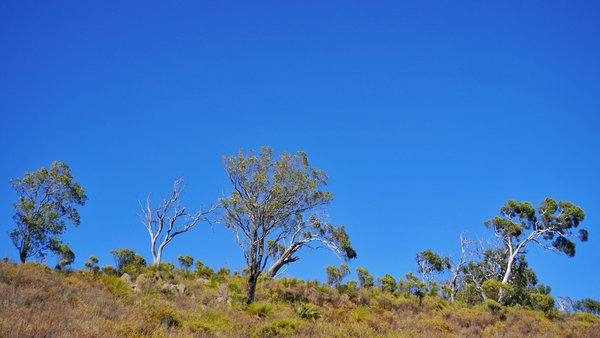 Personal Insurance in Australia: The Four Covers and How to Choose