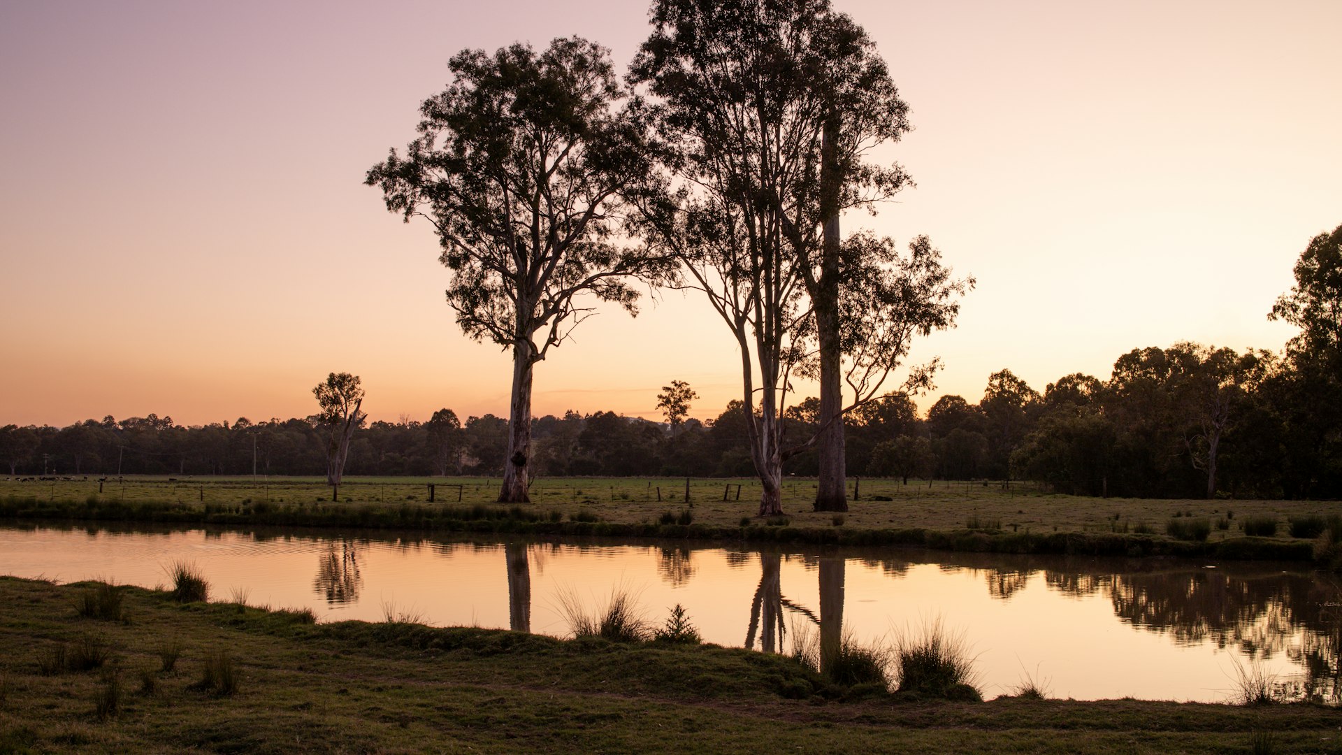 Household Budgeting in Australia: A Working System for Real Families