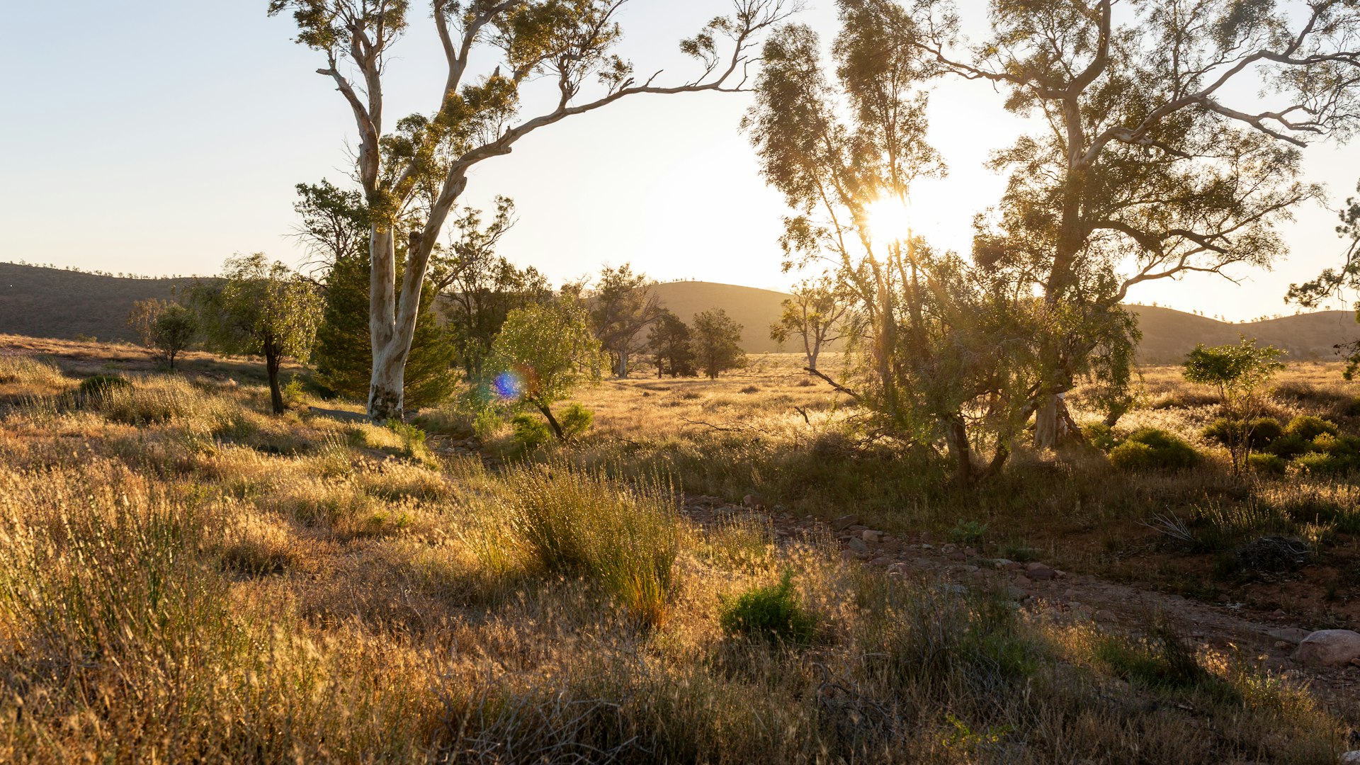 Integrated Financial Advice in Australia: Why Your Professionals Working Together Changes the Outcome