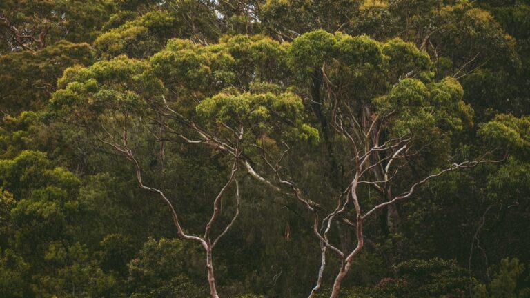EOFY Tax Planning for Individuals in Australia (FY26-27): What to Do Before 30 June